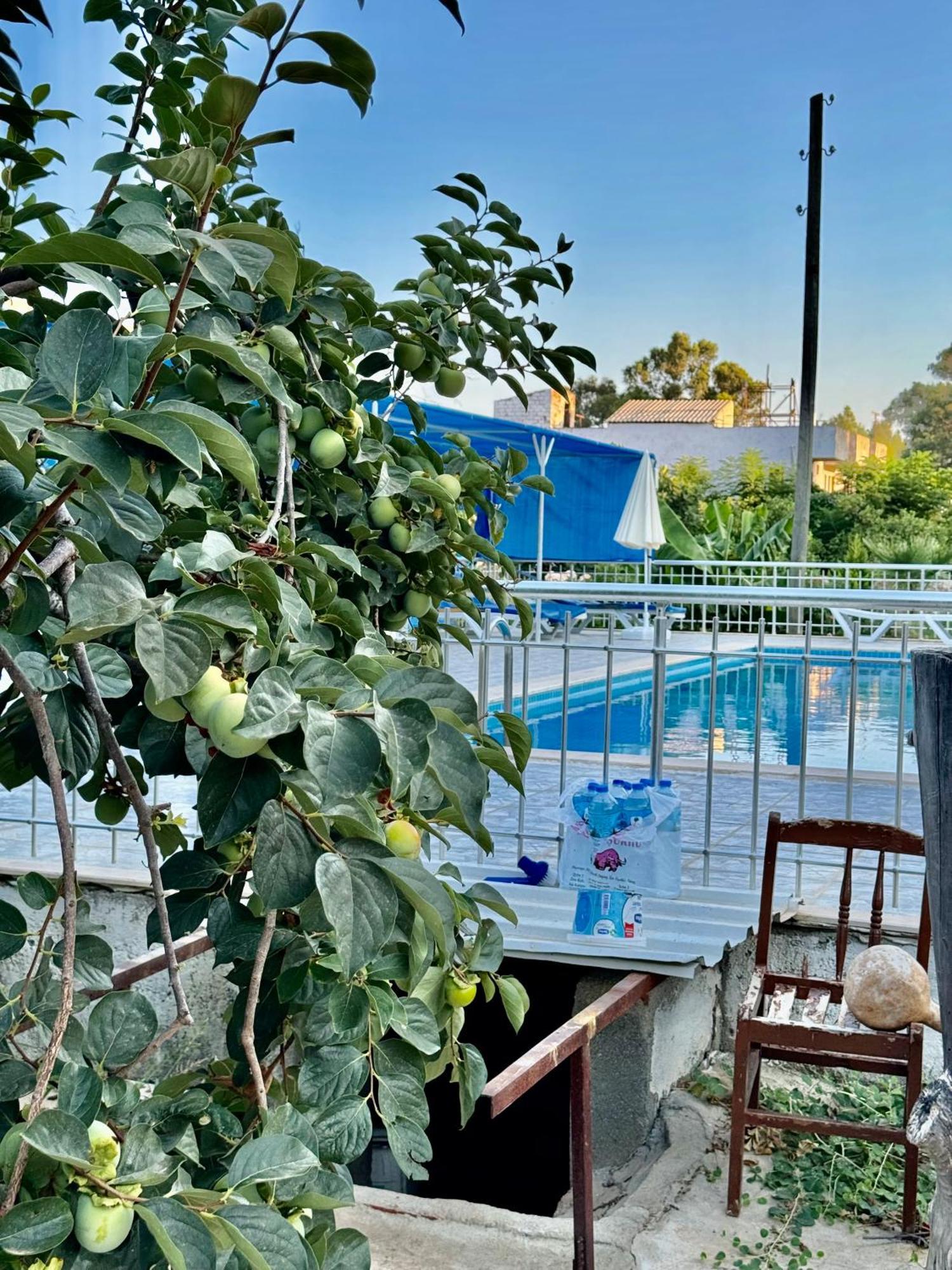 Rose Hotel B&B พาทารา ภายนอก รูปภาพ