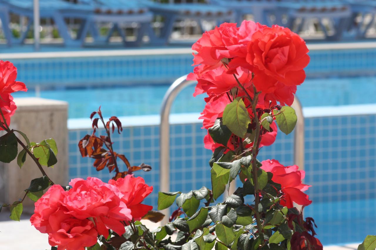 Rose Hotel B&B พาทารา ภายนอก รูปภาพ
