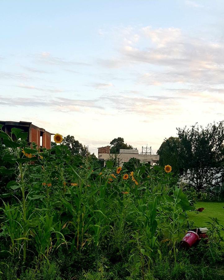Rose Hotel B&B พาทารา ภายนอก รูปภาพ